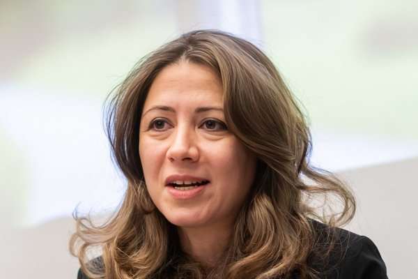 Vizepräsidentin Naghme Kamaleyan-Schmied im Porträt.